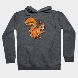 Cute red squirrel Hoodie